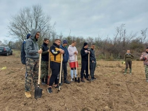 Ученици помогнаха на Горското за засаждането на 1000 фиданки